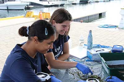 students sorting seabin contents