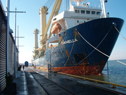 Large Ship at the Port