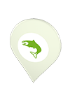 Fish icon